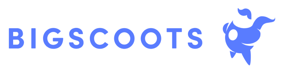 bigscoots-demo.com